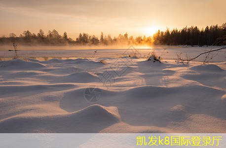 無公害大米的種植技術(shù)發(fā)展