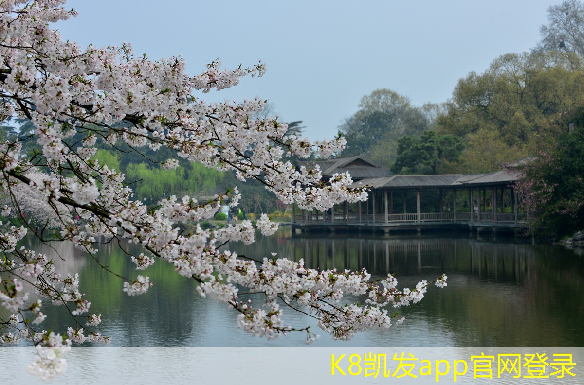 禮盒米的包裝設(shè)計(jì)創(chuàng)新與發(fā)展