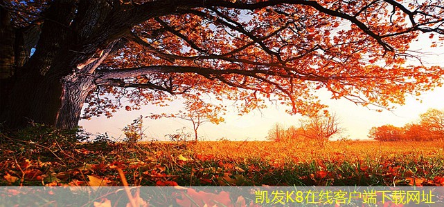 糧食倉儲(chǔ)的市場(chǎng)發(fā)展前景